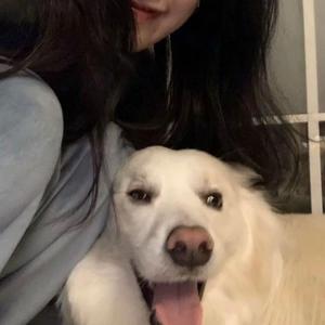 把jiji❌进女班长屁屁里游戏
